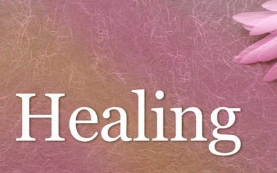 Why I Believe in the Transformative Power of Whole-System Healing