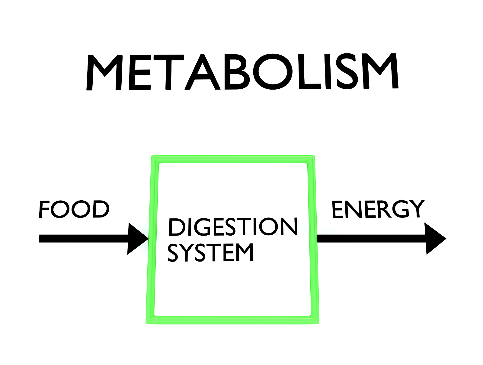 pro-metabolic-eating-susan-cachay-htma-success